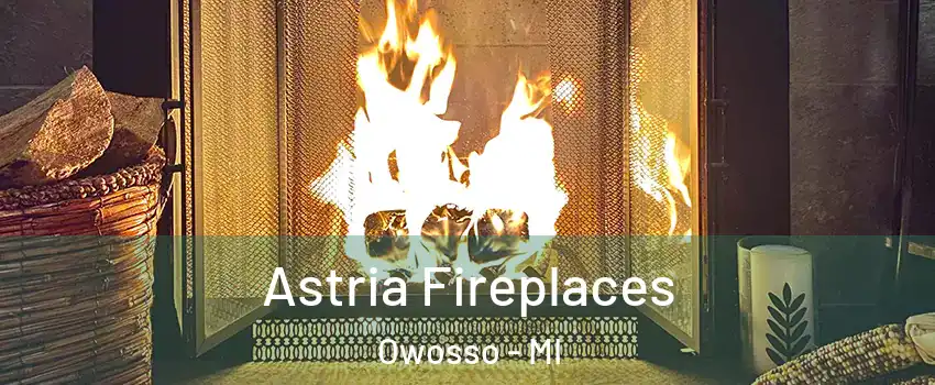  Astria Fireplaces Owosso - MI