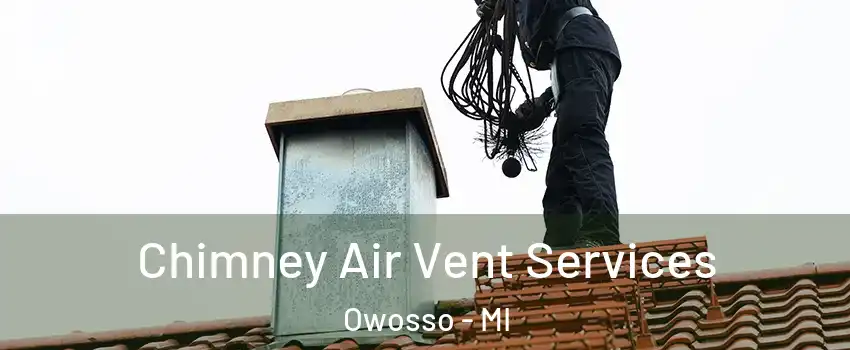 Chimney Air Vent Services Owosso - MI