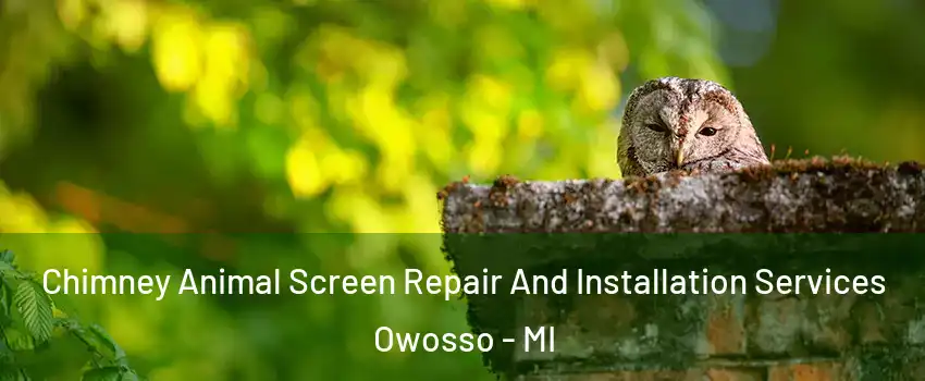  Chimney Animal Screen Repair And Installation Services Owosso - MI