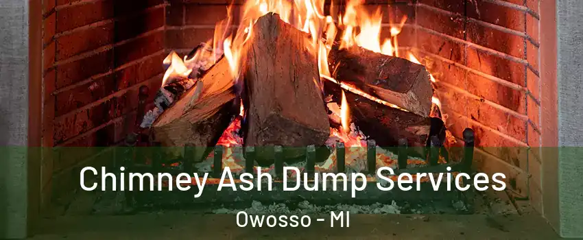  Chimney Ash Dump Services Owosso - MI