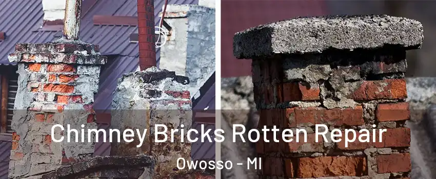  Chimney Bricks Rotten Repair Owosso - MI