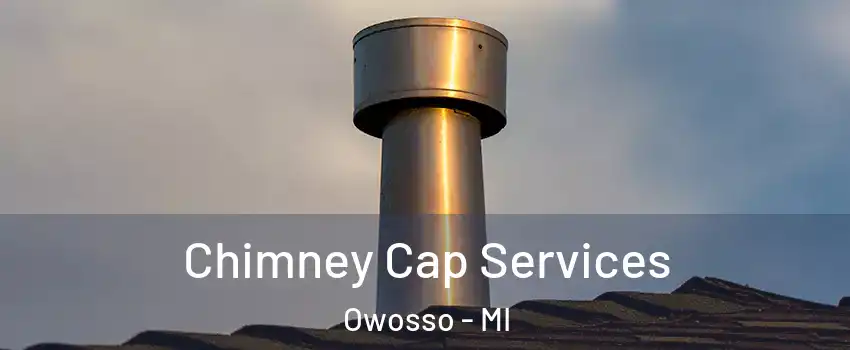  Chimney Cap Services Owosso - MI