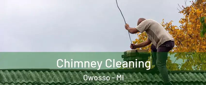  Chimney Cleaning Owosso - MI