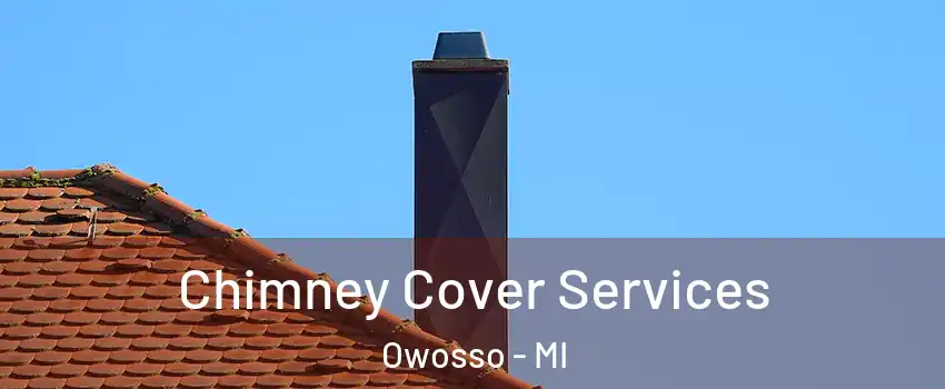  Chimney Cover Services Owosso - MI