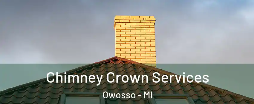  Chimney Crown Services Owosso - MI