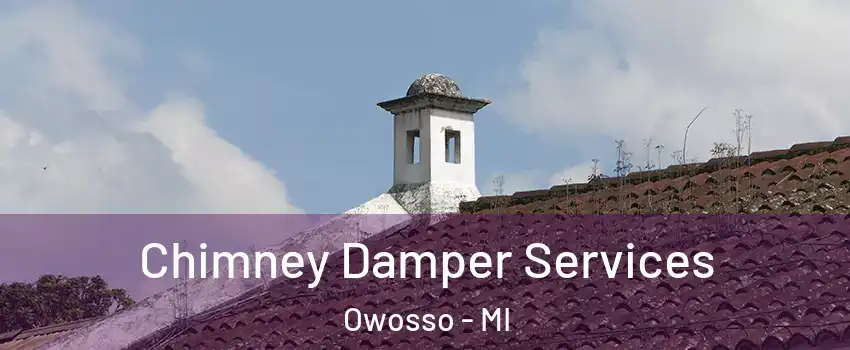  Chimney Damper Services Owosso - MI
