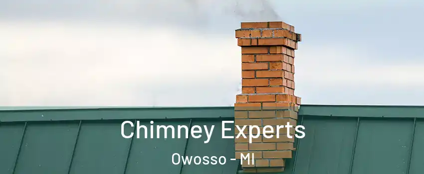  Chimney Experts Owosso - MI