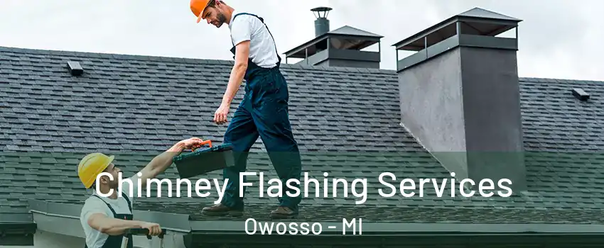  Chimney Flashing Services Owosso - MI