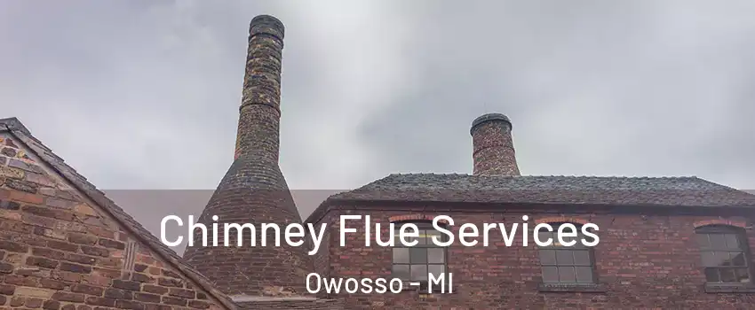  Chimney Flue Services Owosso - MI