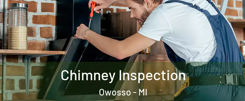  Chimney Inspection Owosso - MI