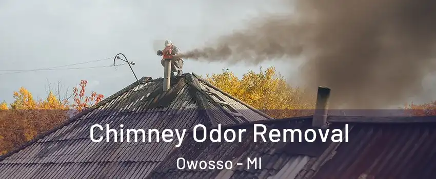  Chimney Odor Removal Owosso - MI