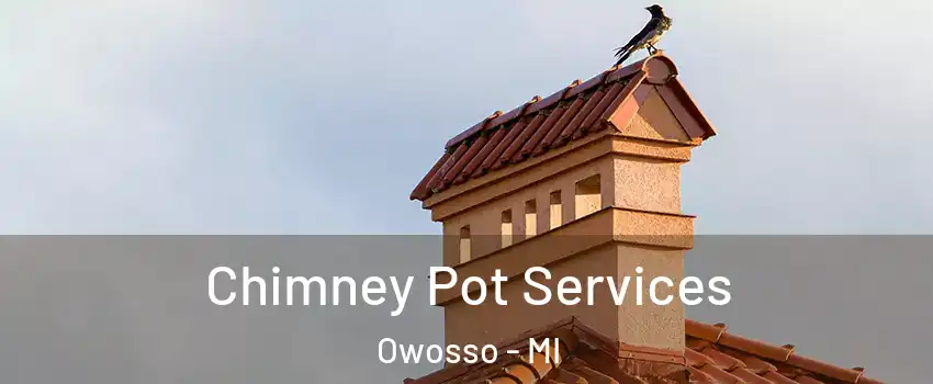  Chimney Pot Services Owosso - MI
