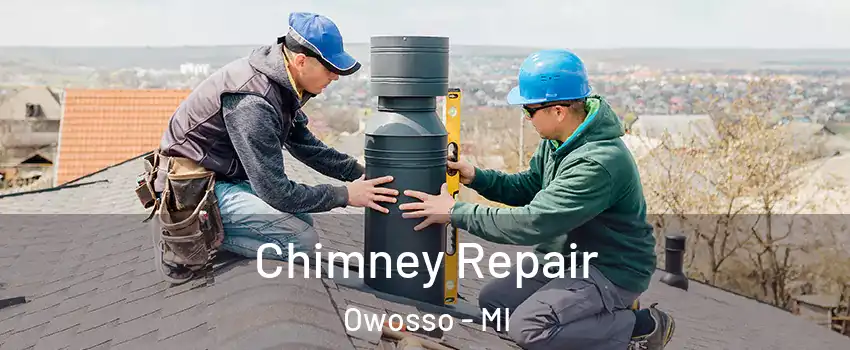  Chimney Repair Owosso - MI