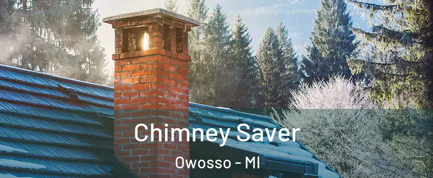  Chimney Saver Owosso - MI