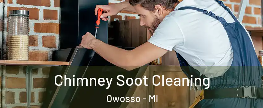  Chimney Soot Cleaning Owosso - MI