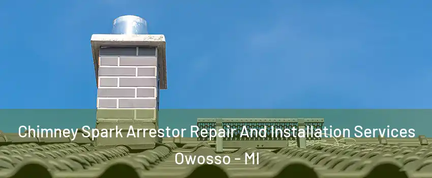  Chimney Spark Arrestor Repair And Installation Services Owosso - MI