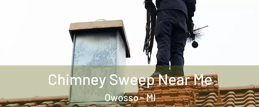  Chimney Sweep Near Me Owosso - MI