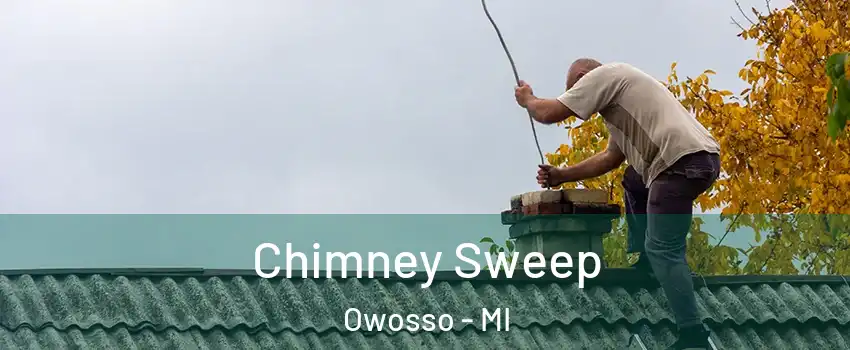  Chimney Sweep Owosso - MI