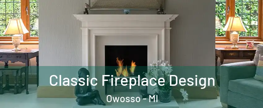  Classic Fireplace Design Owosso - MI