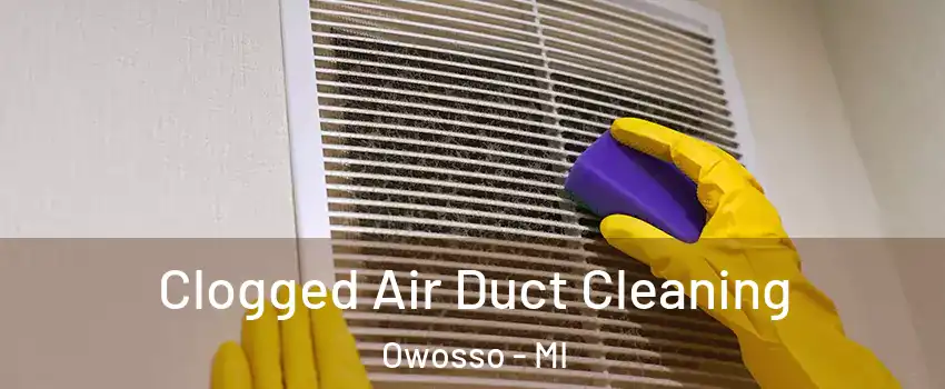  Clogged Air Duct Cleaning Owosso - MI