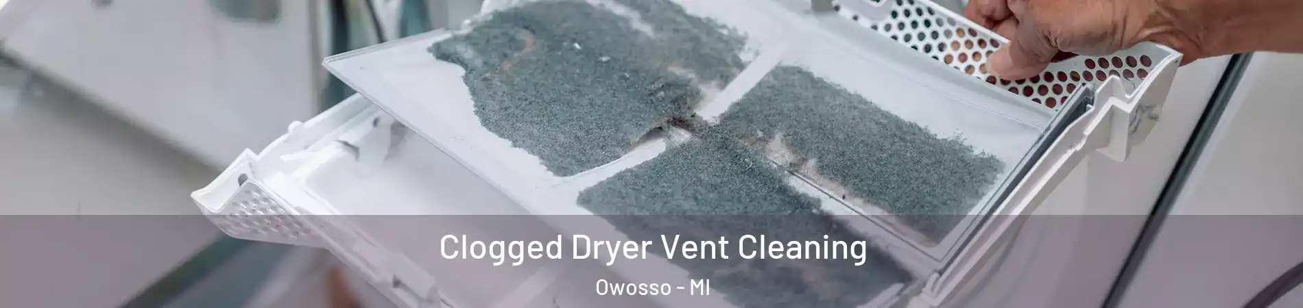  Clogged Dryer Vent Cleaning Owosso - MI
