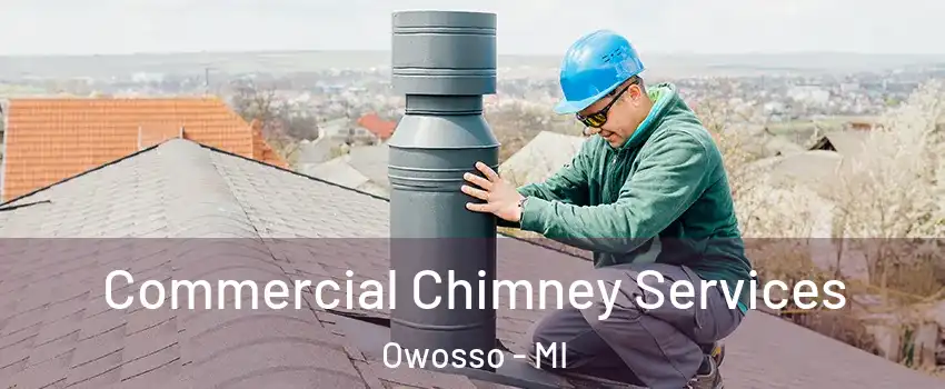  Commercial Chimney Services Owosso - MI