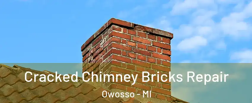  Cracked Chimney Bricks Repair Owosso - MI