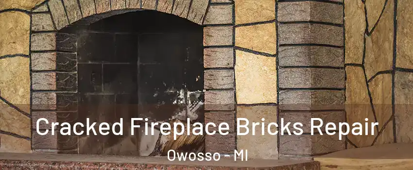  Cracked Fireplace Bricks Repair Owosso - MI