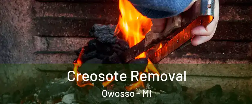 Creosote Removal Owosso - MI