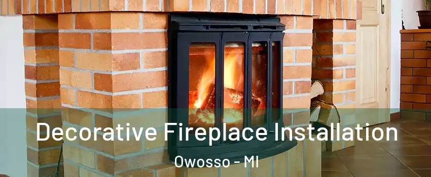  Decorative Fireplace Installation Owosso - MI