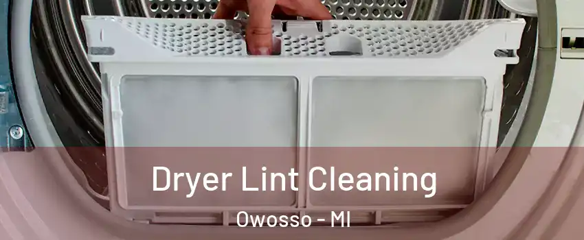  Dryer Lint Cleaning Owosso - MI