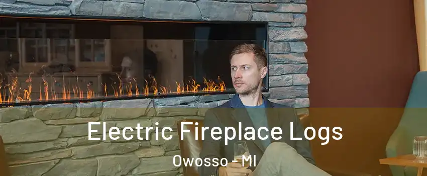  Electric Fireplace Logs Owosso - MI