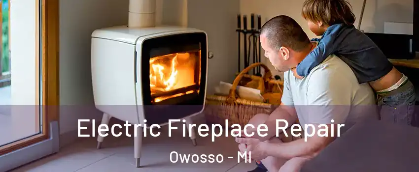  Electric Fireplace Repair Owosso - MI