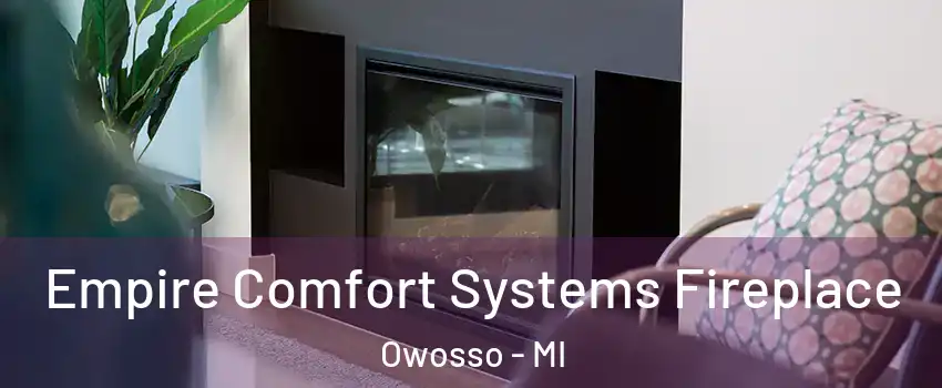  Empire Comfort Systems Fireplace Owosso - MI