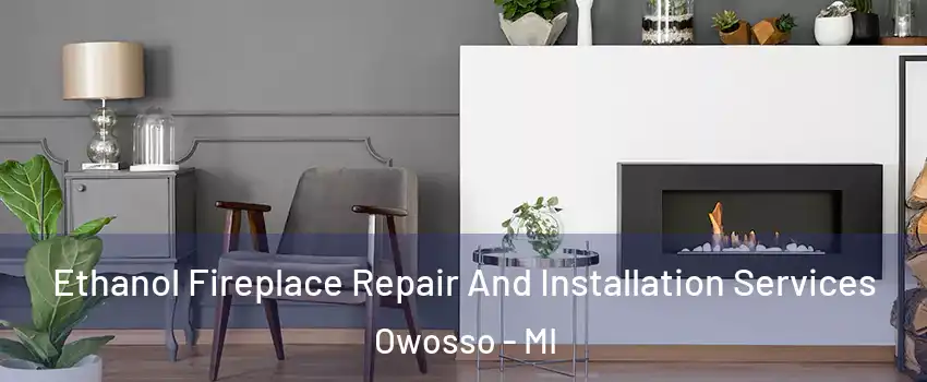  Ethanol Fireplace Repair And Installation Services Owosso - MI