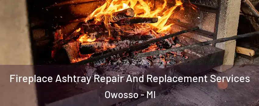  Fireplace Ashtray Repair And Replacement Services Owosso - MI