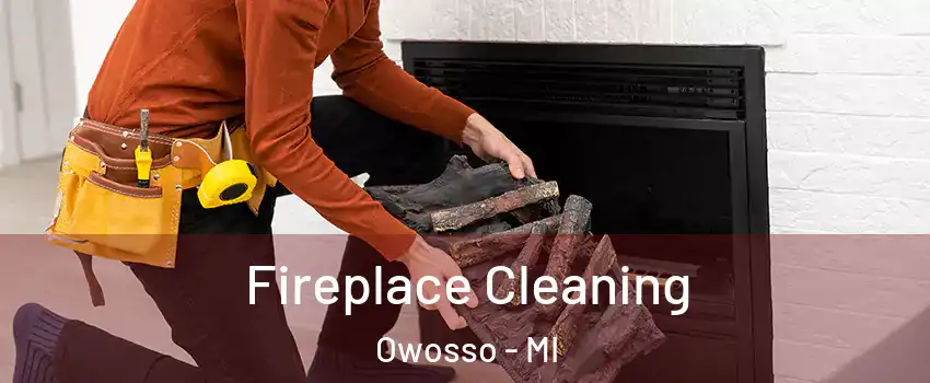  Fireplace Cleaning Owosso - MI