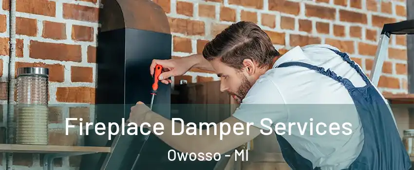  Fireplace Damper Services Owosso - MI