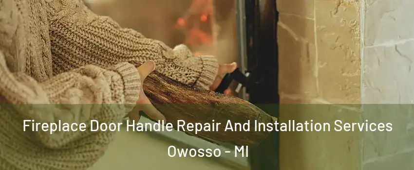  Fireplace Door Handle Repair And Installation Services Owosso - MI