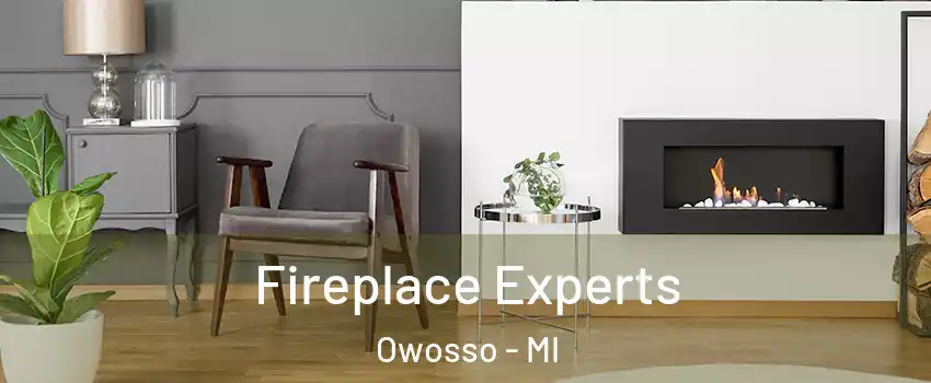  Fireplace Experts Owosso - MI