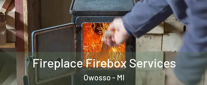  Fireplace Firebox Services Owosso - MI