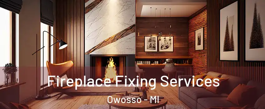  Fireplace Fixing Services Owosso - MI