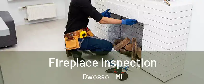  Fireplace Inspection Owosso - MI