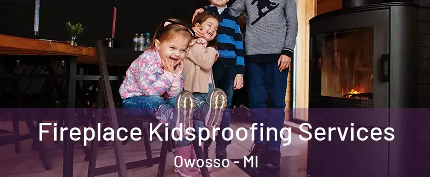  Fireplace Kidsproofing Services Owosso - MI