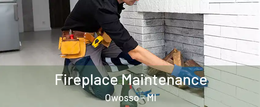  Fireplace Maintenance Owosso - MI