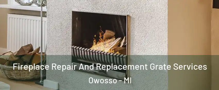  Fireplace Repair And Replacement Grate Services Owosso - MI