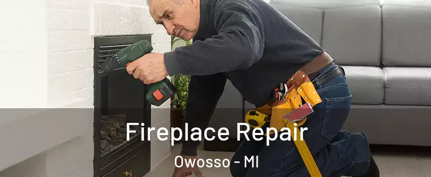  Fireplace Repair Owosso - MI