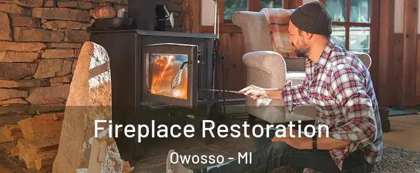  Fireplace Restoration Owosso - MI