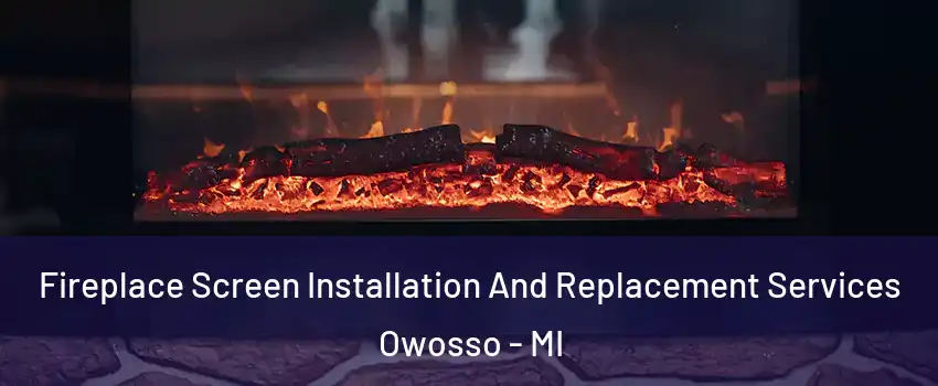  Fireplace Screen Installation And Replacement Services Owosso - MI
