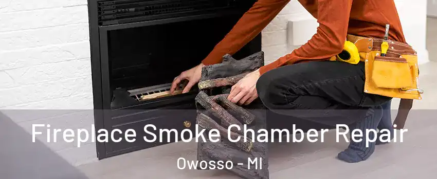  Fireplace Smoke Chamber Repair Owosso - MI